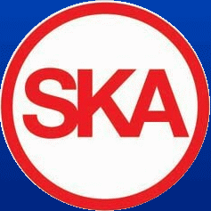 Homepage SKA Italy